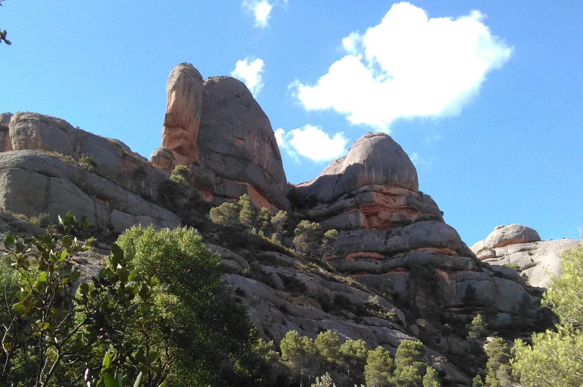 L’espiritualitat de la natura i l’omnipresència divina