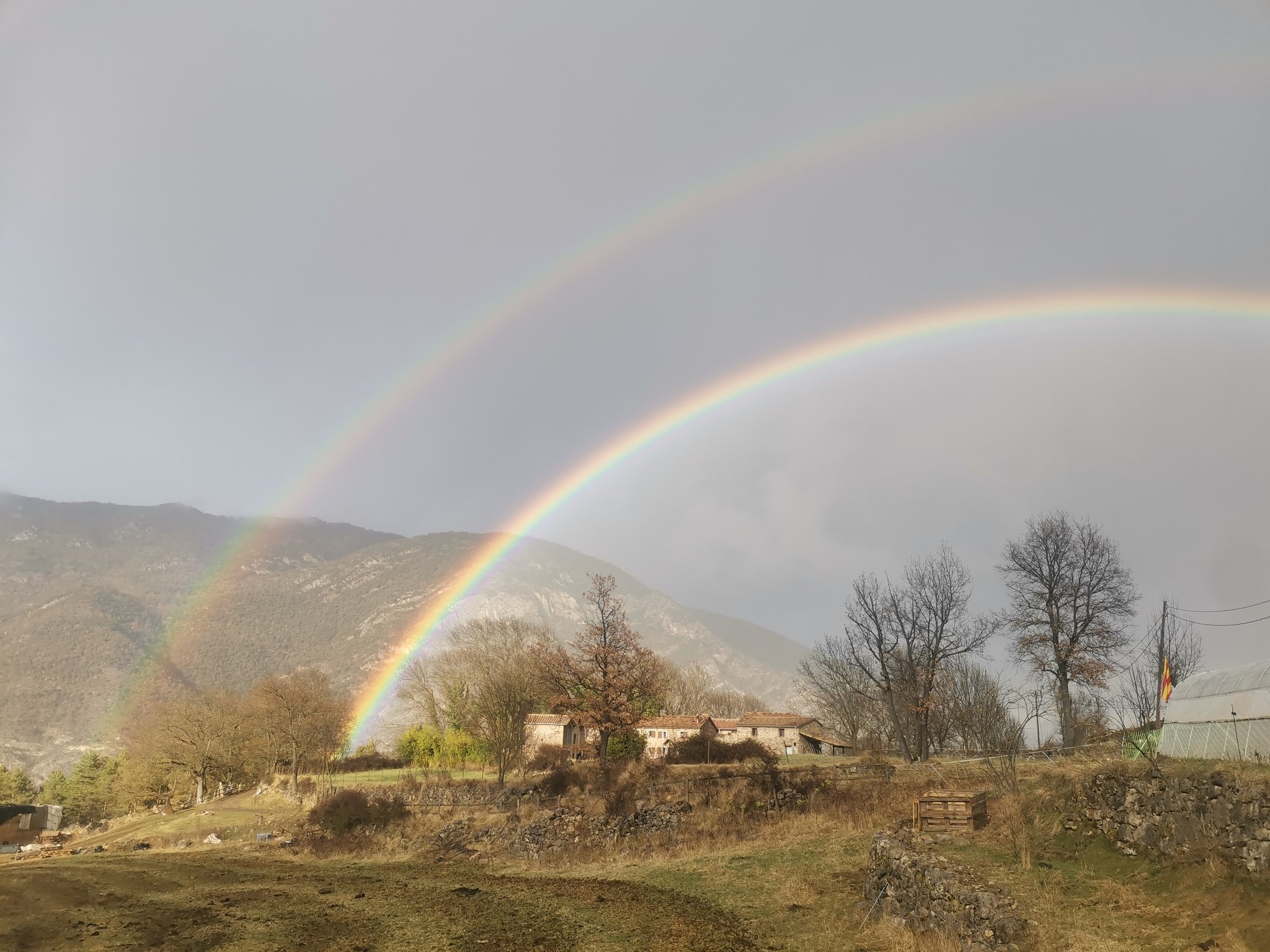 Valors intrínsecs, espiritualitat i conservació de la natura