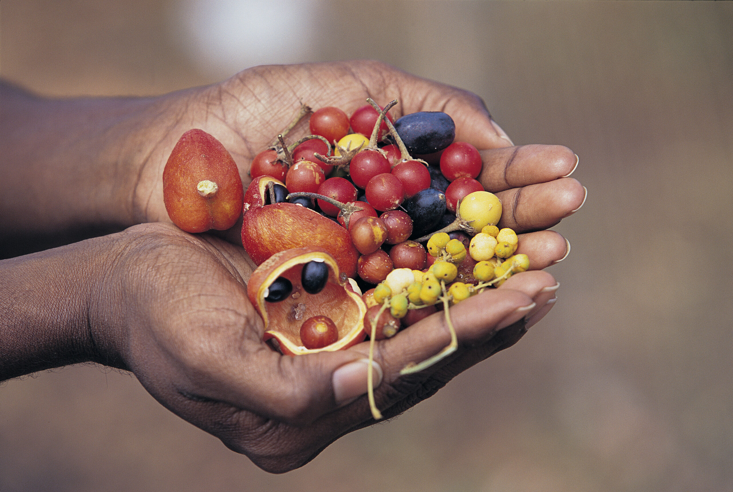 Com recuperar un vincle integral i saludable amb la natura?