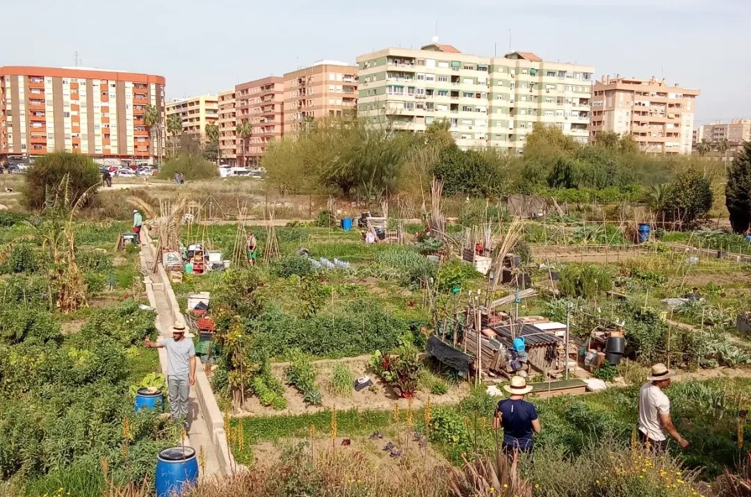 Ecologia, Espiritualitat i Pau. Pistes i actituds personals i comunitàries