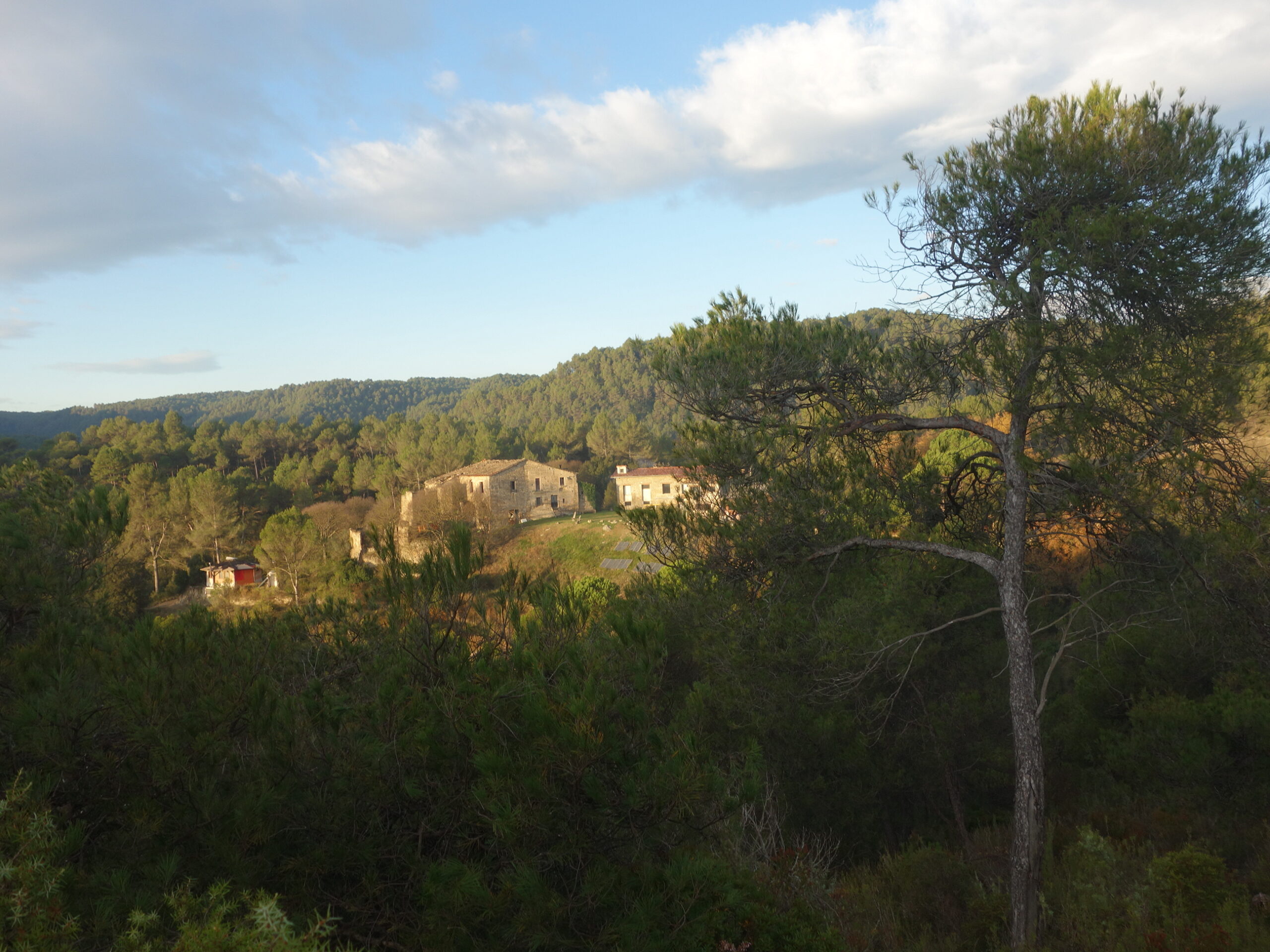 De l’oblit a la cerca d’una nova ruralitat, al Diàleg Àgora